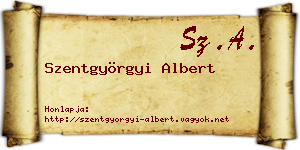 Szentgyörgyi Albert névjegykártya